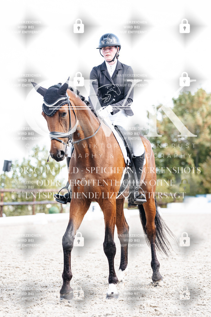 CK902427 | Turnierfotografie Pferdefotografie Trier Rheinland-Pfalz Pferdesport Reitsport Tierfotografie Sportfotografie Pferdevideo Pferdevideografie Equestrianvideography equestrianphotography  - Realisiert mit Pictrs.com