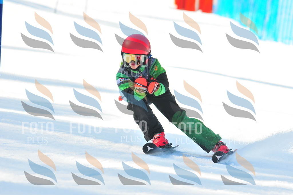 B8693 | holidayphoto