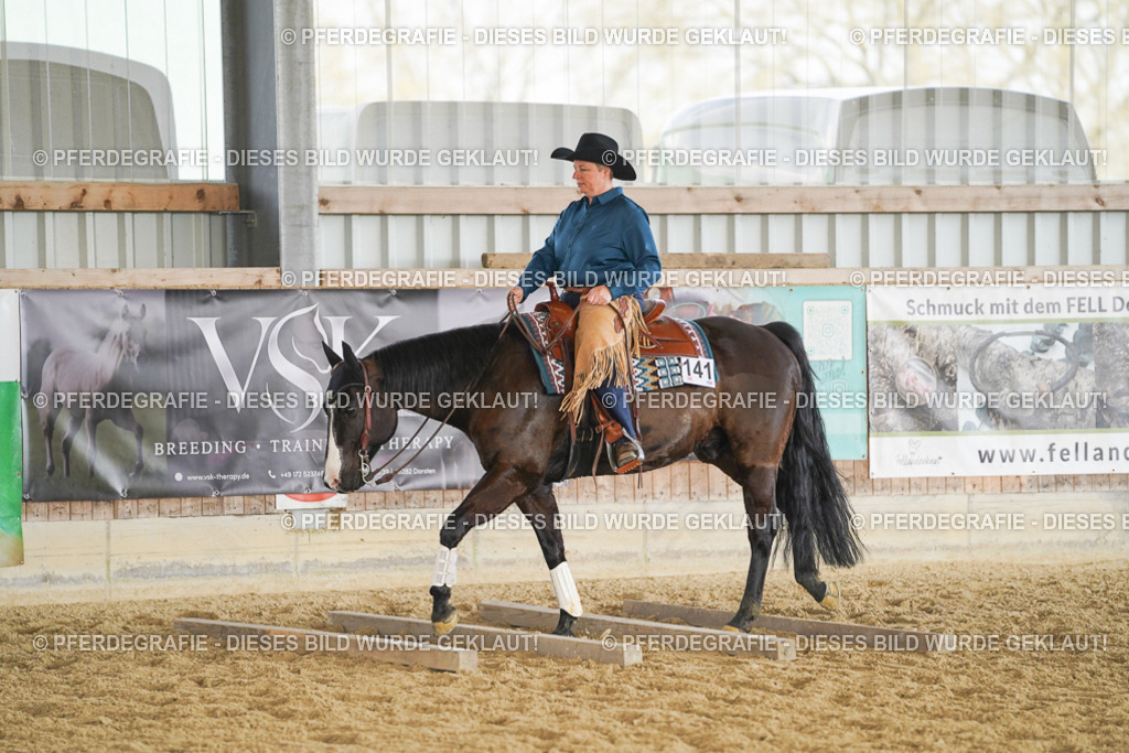 DSC01589 | Pferdegrafie