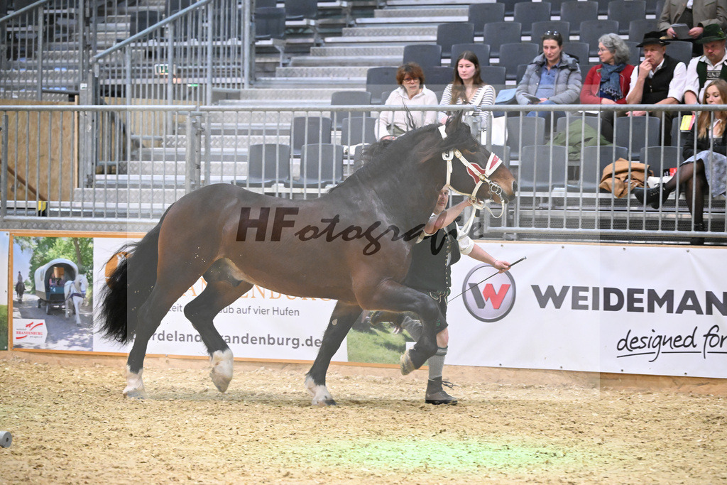 Kat-Nr. 9 Rubino III W v. Rivero_Fritzmeier_1260158 | hf-fotografie - Realisiert mit Pictrs.com