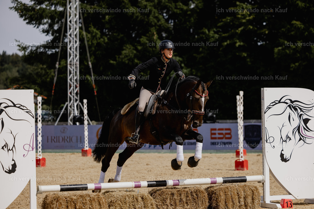 Virginie12FHC2025-20632 | working equitationturnier fotograf videograf stoibphotography marixx film working equitation deutschland reitsport turnierfotografie eventfotografie equestrian events