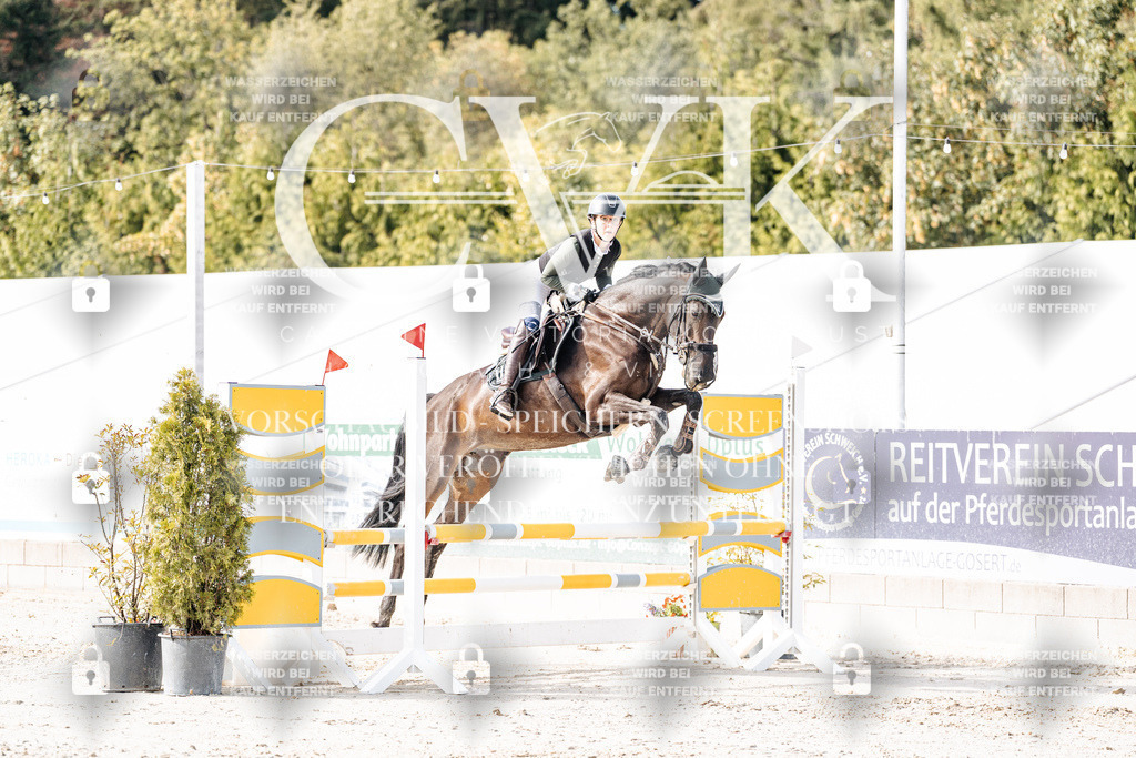 CK905523 | Turnierfotografie Pferdefotografie Trier Rheinland-Pfalz Pferdesport Reitsport Tierfotografie Sportfotografie Pferdevideo Pferdevideografie Equestrianvideography equestrianphotography  - Realisiert mit Pictrs.com