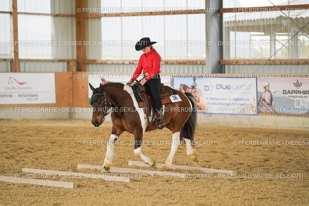 DSC04235 | Pferdegrafie