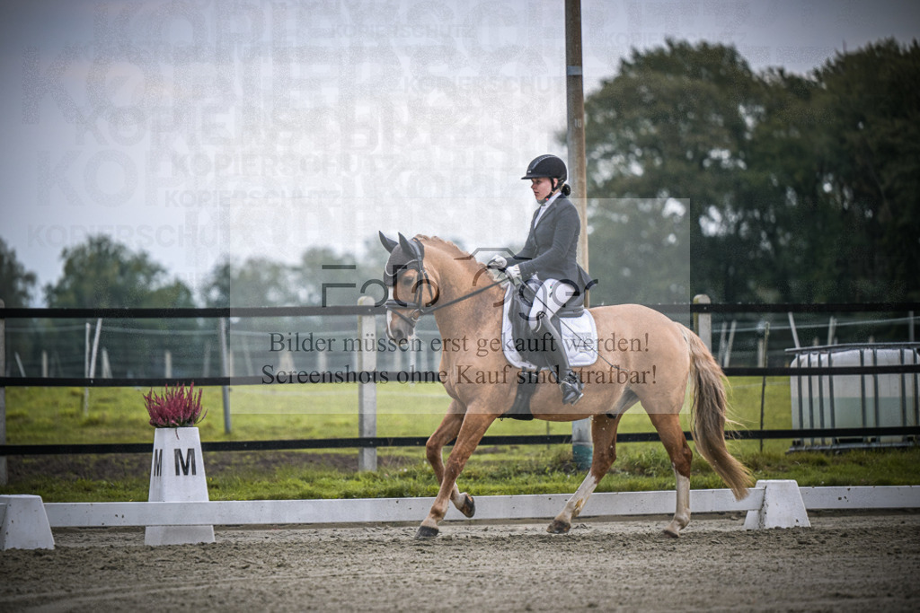 DOS_2203 | Entdecke hochwertige Reitturnierfotos von Foto Oger. Professionell, emotional und authentisch – jetzt Lieblingsmomente im Shop bestellen.Deutschlandweite Turnierfotografie. - Realisiert mit Pictrs.com