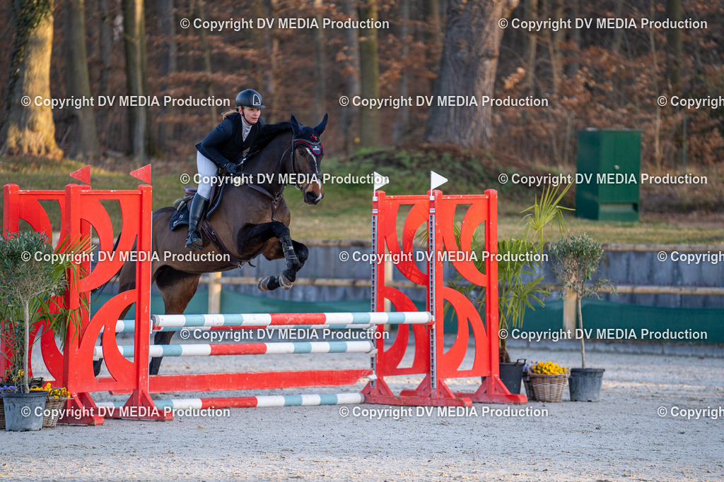 DSC-276 | dv-media-shop - Realisiert mit Pictrs.com