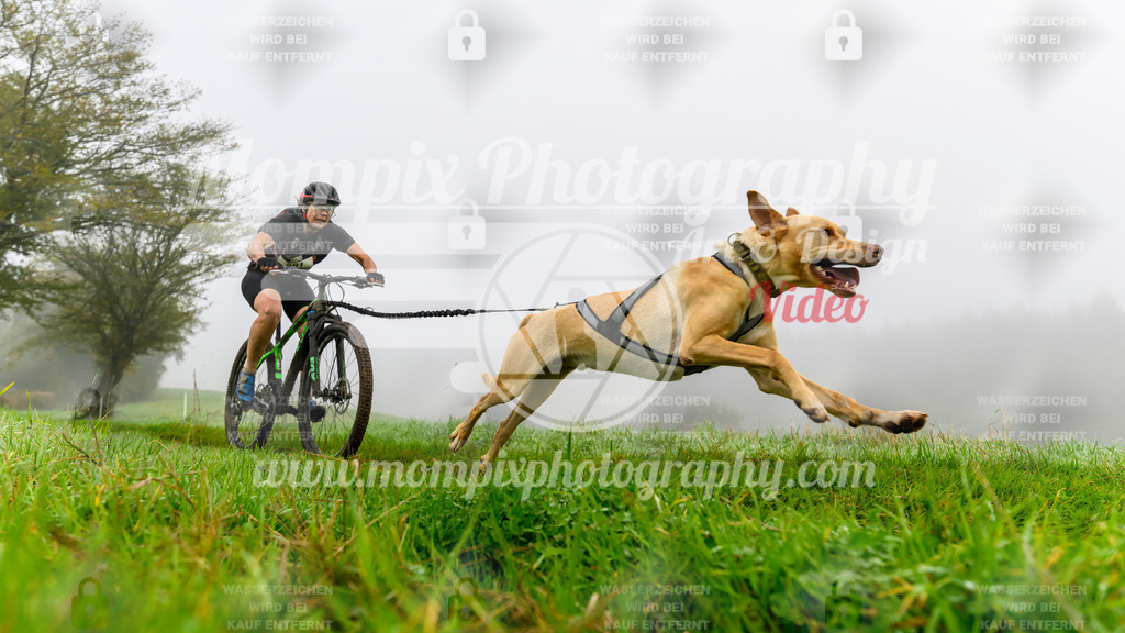 MompixPhotography_20TSB_E5_Bike-51 | PayLife