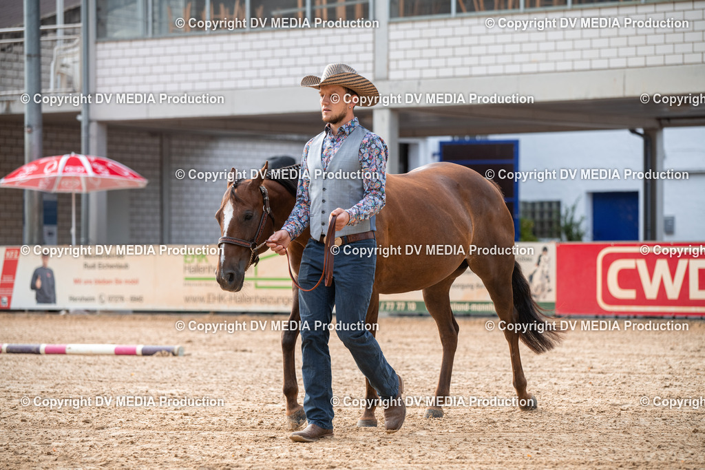 EWP_5544 | dv-media-shop - Realisiert mit Pictrs.com