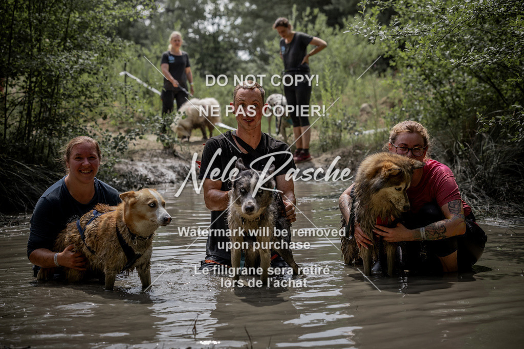 nelerasche_so1300-1330_55 | nelerasche