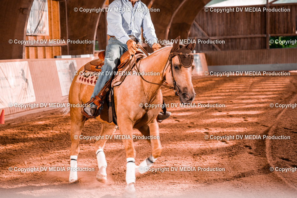 NE201188 | dv-media-shop - Realisiert mit Pictrs.com