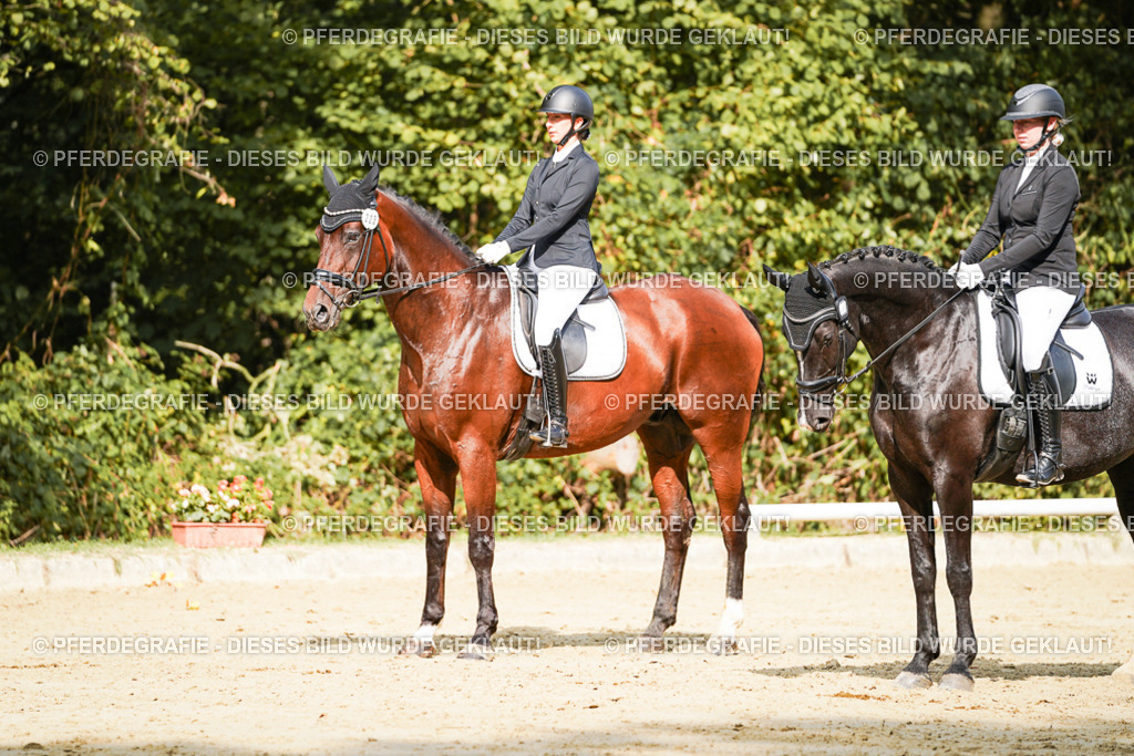 DSC02479 | Pferdegrafie