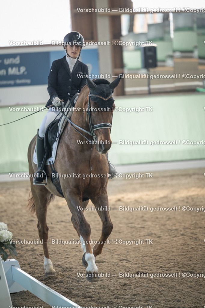 _D5A4195 | Emotionale Pferde- & People-Fotografie rund um Heidelberg, Leimen & Umgebung. Natürliche Fotos von Pferd, Mensch & Familie. Jetzt Termin sichern!