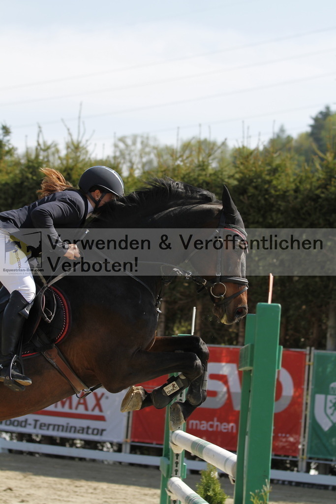 _MG_9604 | equestrian-live-com