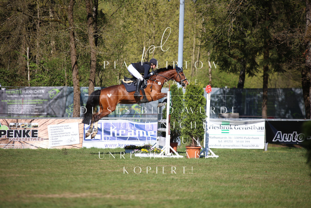 IMGT0385 | pl-fotografie