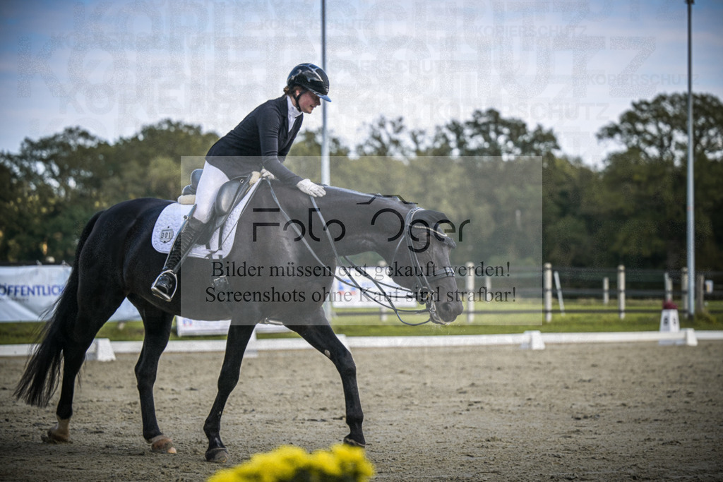 DOS_0463 | Entdecke hochwertige Reitturnierfotos von Foto Oger. Professionell, emotional und authentisch – jetzt Lieblingsmomente im Shop bestellen.Deutschlandweite Turnierfotografie. - Realisiert mit Pictrs.com