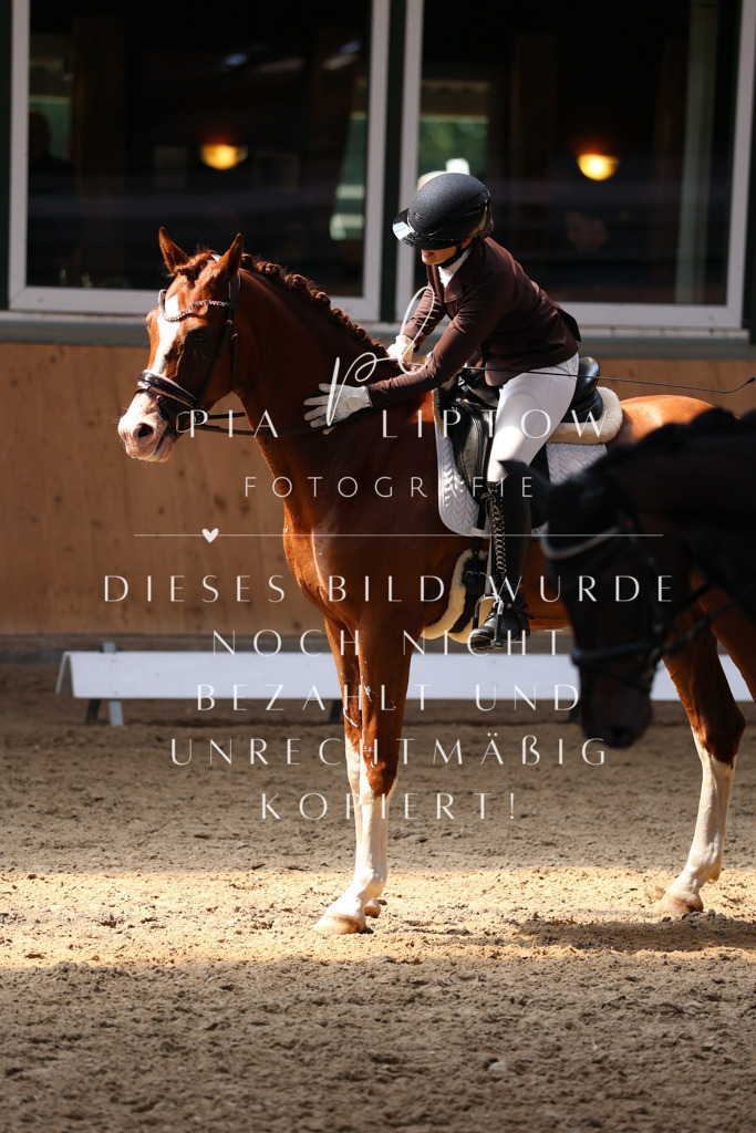 IMGM8718 | pl-fotografie