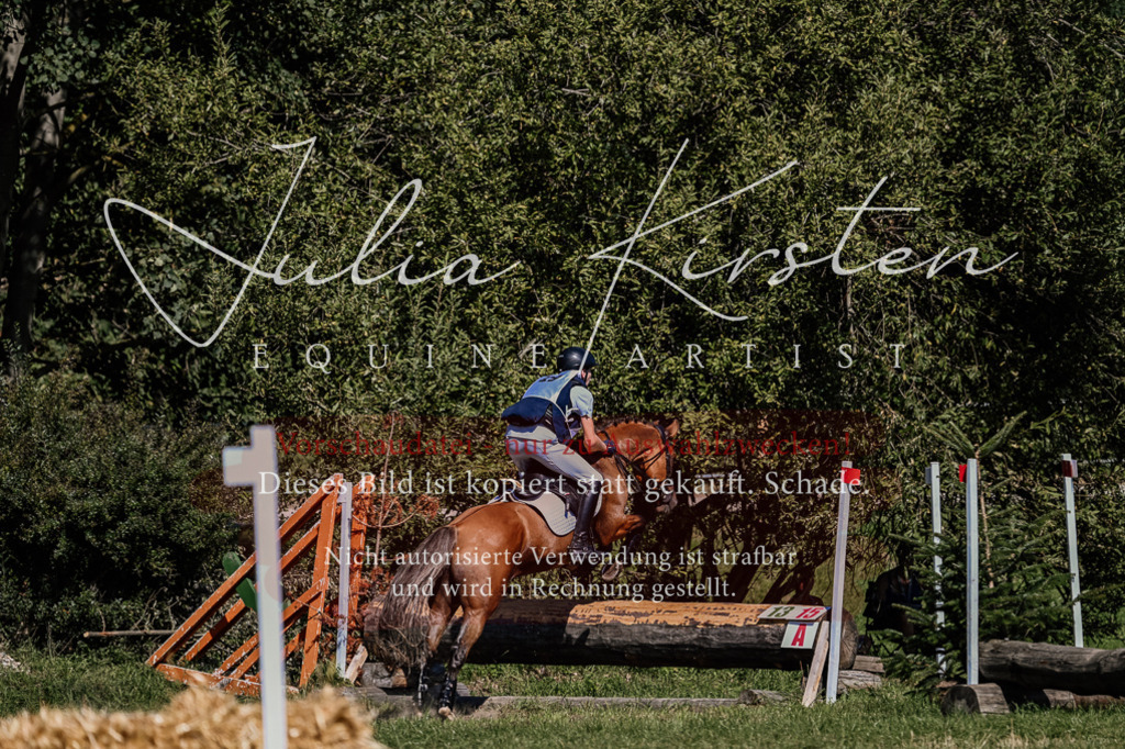 DSC_2098 | Pferde- und Turnierfotografie in Westsachsen. Pferdeportraits, Auftragszeichnungen und intuitive Kunst.