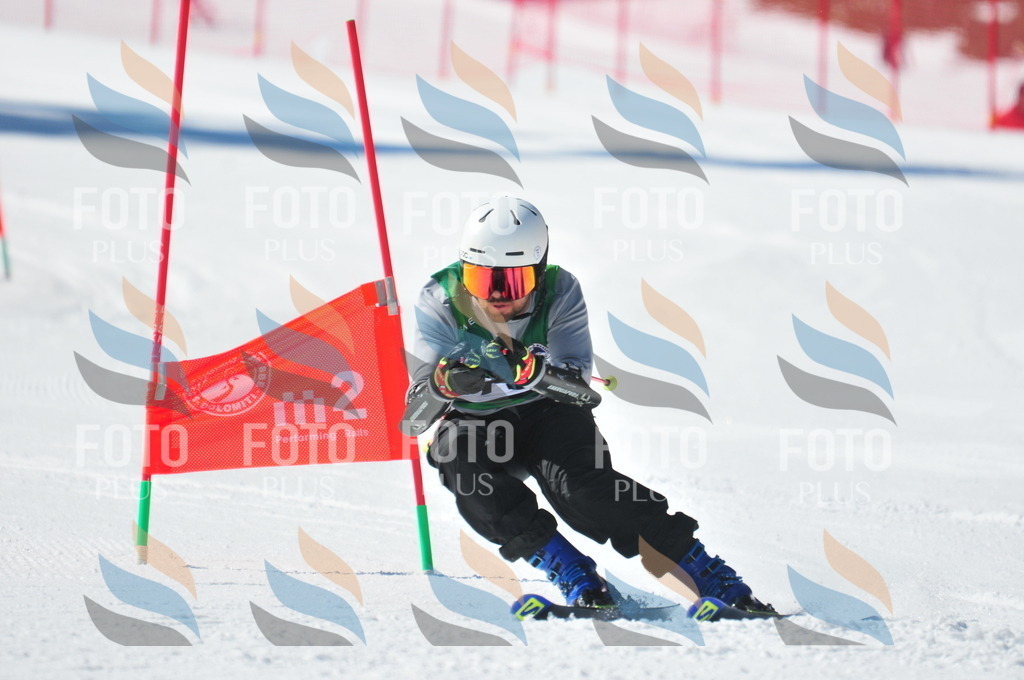 C3397 | holidayphoto