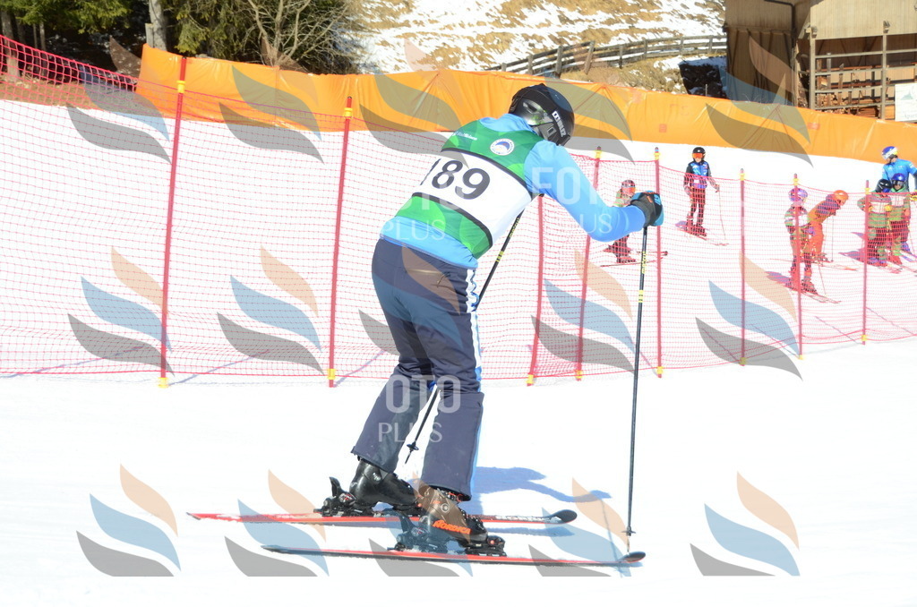 C6495 | holidayphoto