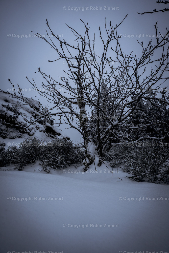 Instawalk_Seehaus-27 | Robin Zinnert - Realisiert mit Pictrs.com