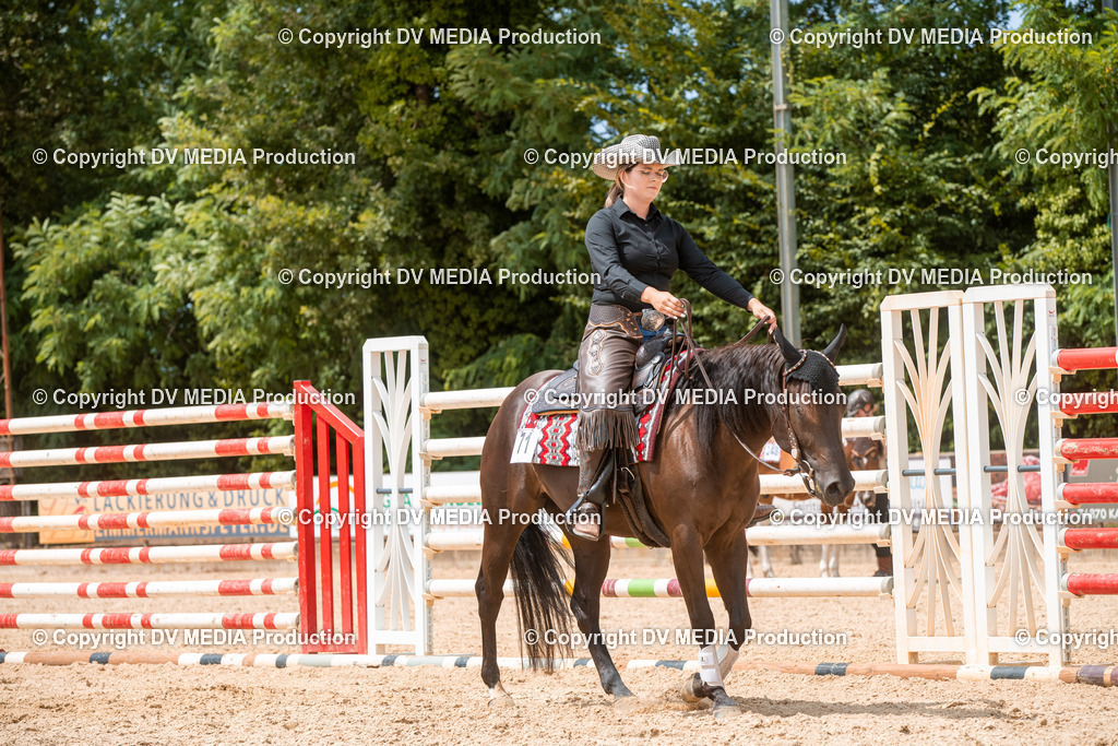 EWP_6459 | dv-media-shop - Realisiert mit Pictrs.com