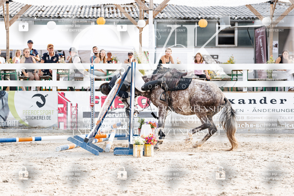 CK907041 | Turnierfotografie Pferdefotografie Trier Rheinland-Pfalz Pferdesport Reitsport Tierfotografie Sportfotografie Pferdevideo Pferdevideografie Equestrianvideography equestrianphotography  - Realisiert mit Pictrs.com