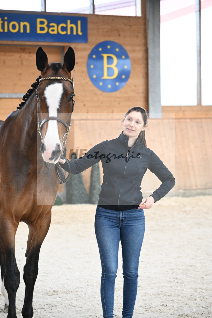 Kat-Nr. 27 Annabelle NZ v. Aganix du Seigneur_Kistner_5251856 | hf-fotografie - Realisiert mit Pictrs.com