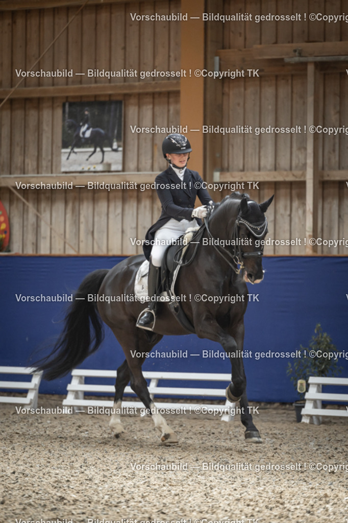 _D5A0536 | Emotionale Pferde- & People-Fotografie rund um Heidelberg, Leimen & Umgebung. Natürliche Fotos von Pferd, Mensch & Familie. Jetzt Termin sichern!