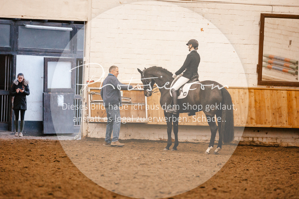3I6A7186 | Stimmungsvolle Portraits und Reitsportfotografie im Ruhrgebiet und im Münsterland.

Pferdefotografie, Hundefotografie, Tierfotografie, Reportagen, Portraits von Tier und Mensch, Turnierfotografie in Bochum, Recklinghausen, Marl, Haltern am See, Dülmen.. - Realisiert mit Pictrs.com