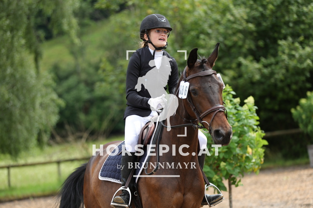 0P6A1025 | Willkommen bei Brunnmayr - Design & Fotografie – Ihrem Spezialisten für Reitturniere und Pferdeveranstaltungen in Oberösterreich, Salzburg und Bayern! Seit über 17 Jahren sind wir leidenschaftlich dabei.