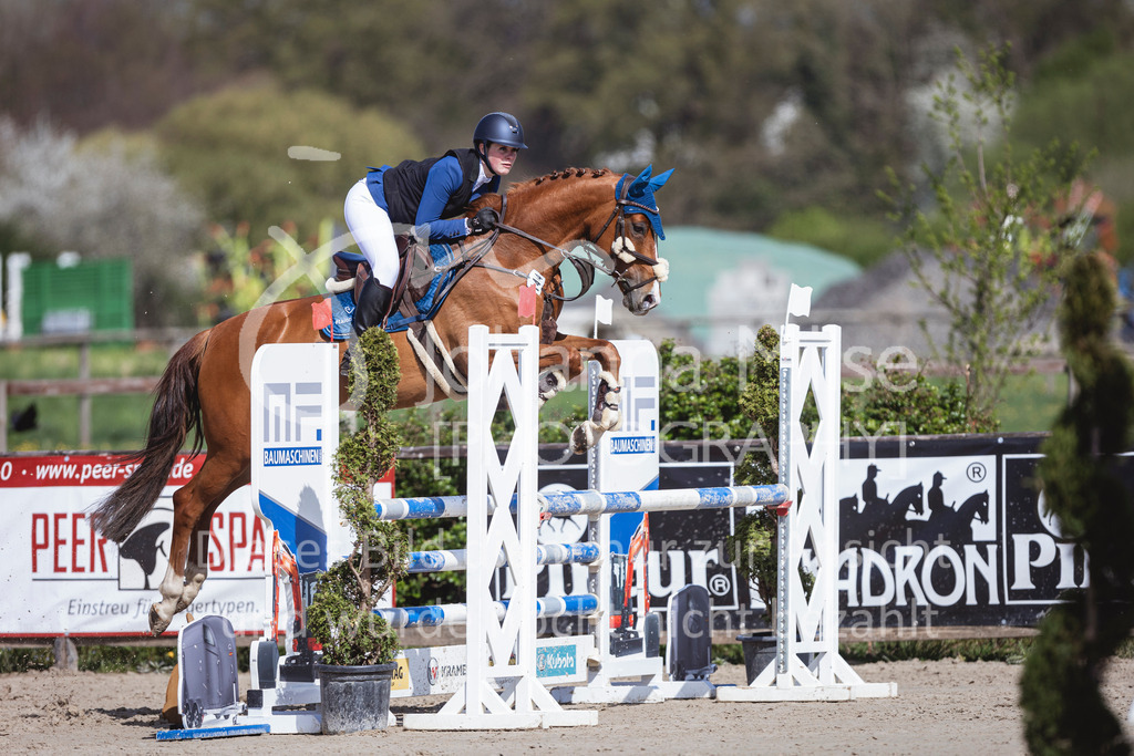 250419_Frühlingsfest_Stil-L-622 | Deine schönsten Turniermomente als professionelle Fotos! Entdecke hochwertige Pferdesport-Fotografie im Online-Shop. Jetzt Fotos finden & bestellen!