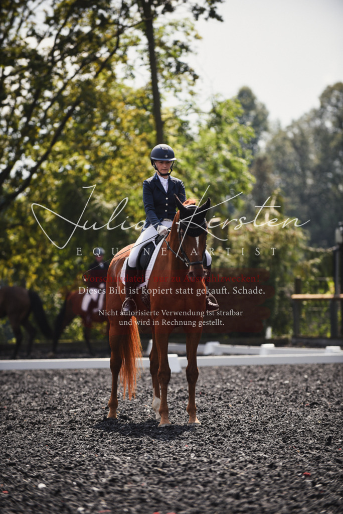 DSC_4105 | Pferde- und Turnierfotografie in Westsachsen. Pferdeportraits, Auftragszeichnungen und intuitive Kunst.