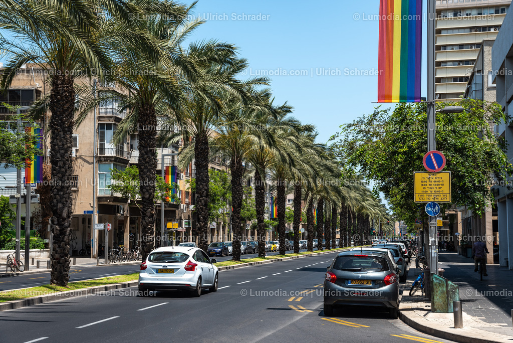 10972-10124 - Tel Aviv - Rothschild Boulevard | Stockfoto und Bilderpool mit Bildmaterial aus Deutschland, dem Harz, Halberstadt, Quedlinburg, Wernigerode und weltweit. Qualitativ hochwertige und professionelle Fotos anschauen und kaufen. - Realisiert mit Pictrs.com