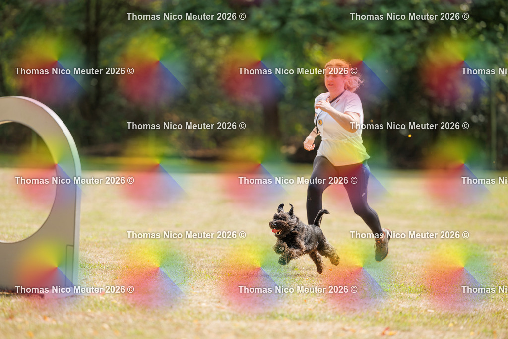 Thomas_Nico_Meuter(C)_22. August 2026_223A5330 | Bild von Thomas Nico Meuter - Realisiert mit Pictrs.com