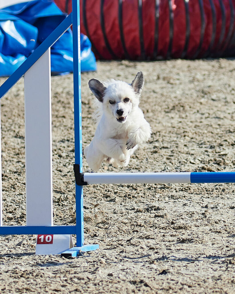 580A0115 | Peter Fridle Fotografie - Realisiert mit Pictrs.com