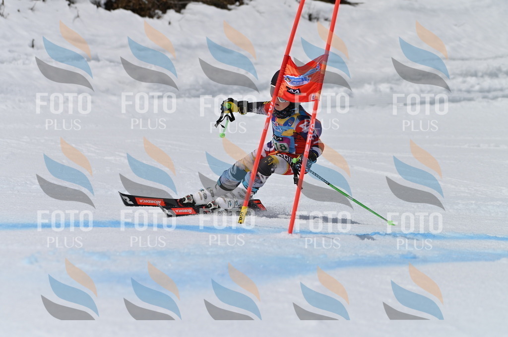 BGV_6298 | holidayphoto