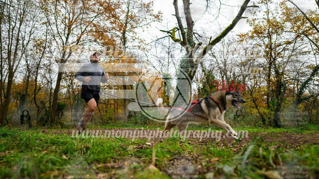 MompixPhotography_Bischwiller24_DI_CoursedeRelais-15 | PayLife
