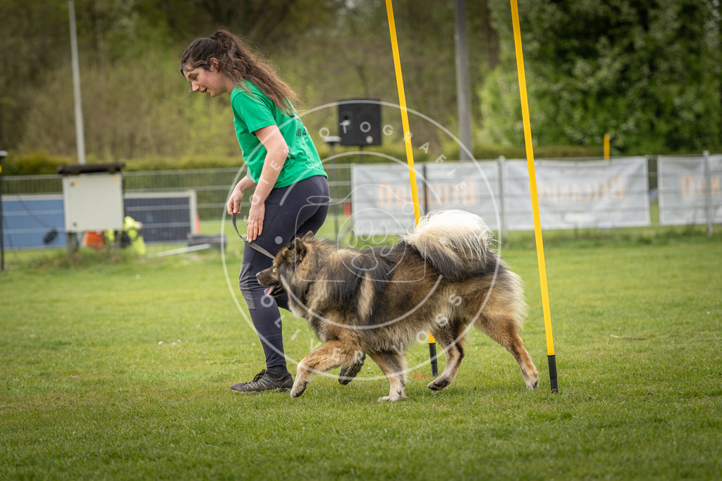 Pfotenfotografie_DV3A1746 | Hundefotografie, Tierfotograf, Pfotenfotografie, Fotoshooting Hund, Hunde Portrait, Hundesport, Hundeportraits, Heideshooting, Hunde, Sportfotograf, Hundefotograf, Turnierhundsport, THS,  - Realisiert mit Pictrs.com