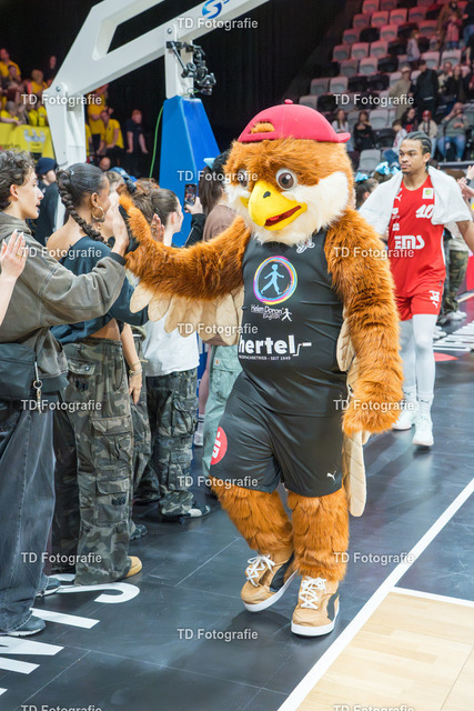 nbg_falcons-04154 | Fotogalerie von Thomas Dettweiler mit Eventbildern und lizenzfreien Fotos. Perfekt als Wandbild, für Büro, Website oder private Nutzung. - Realisiert mit Pictrs.com