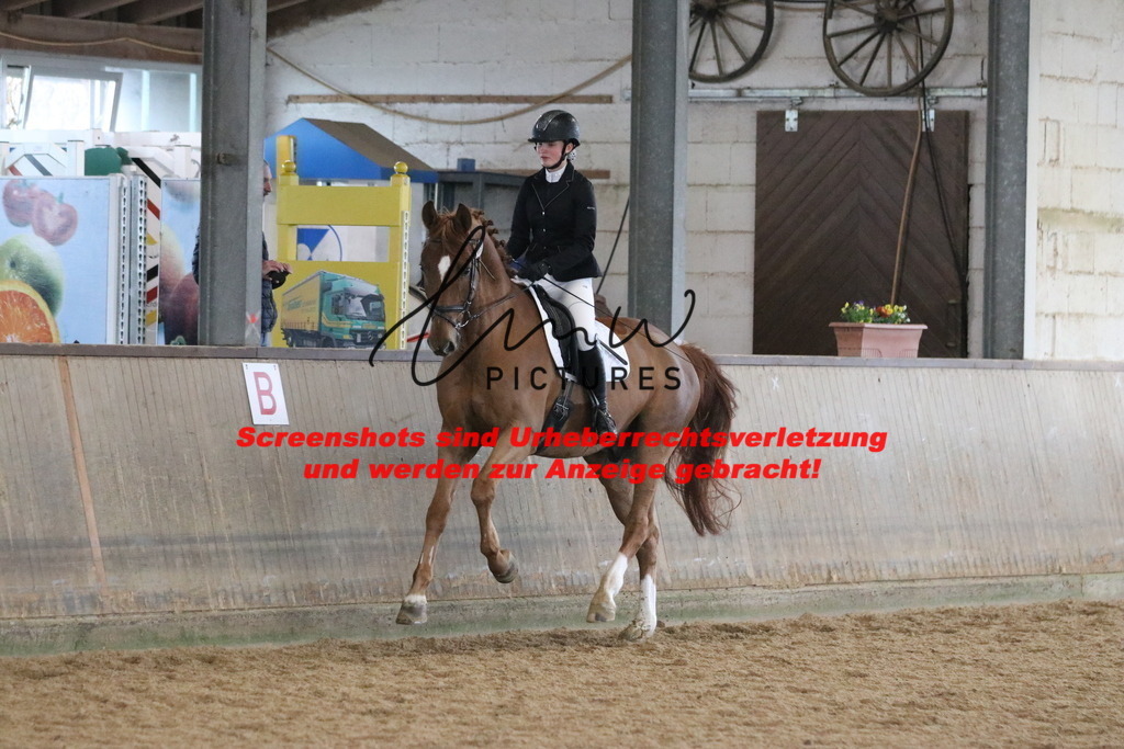 IMG_7795 | lmwpictures - Realisiert mit Pictrs.com