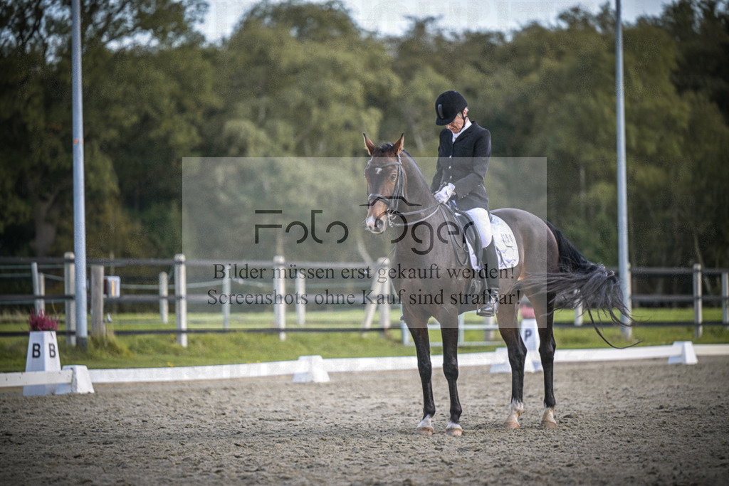 DOS_4104 | Entdecke hochwertige Reitturnierfotos von Foto Oger. Professionell, emotional und authentisch – jetzt Lieblingsmomente im Shop bestellen.Deutschlandweite Turnierfotografie. - Realisiert mit Pictrs.com