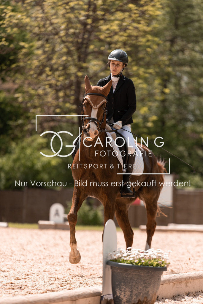 DSC_0353 | Turnierfotografin Carolin Gieschke, Turnierfotografie Carolin G Fotografie, Turnierfotos Kirchheim/Teck, Esslingen, Stuttgart, Bodenseekreis