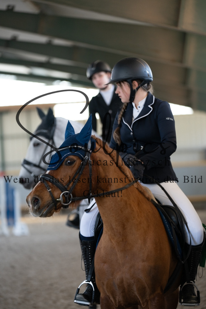 A7V06756 | Pferdefotograf