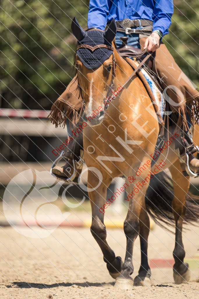 IMG_0427 | Sport-, Event- und Tierfotos in Profiqualität. Einfach auswählen, bestellen und herunterladen. Dein Moment – perfekt festgehalten.