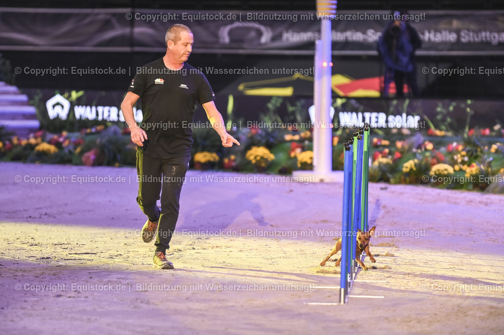 20231115_Dog-Agility_0043_TOMsPiC | Foto: Thomas Hartig