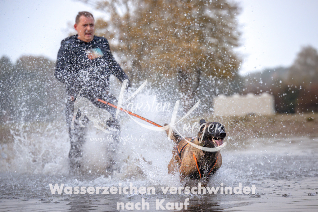 0814_ZZ90931 | kk-dogfotos