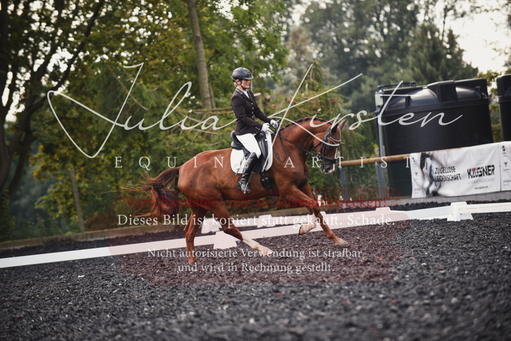 DSC_3998 | Pferde- und Turnierfotografie in Westsachsen. Pferdeportraits, Auftragszeichnungen und intuitive Kunst.