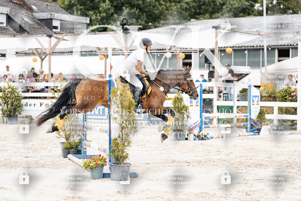 CK908208 | Turnierfotografie Pferdefotografie Trier Rheinland-Pfalz Pferdesport Reitsport Tierfotografie Sportfotografie Pferdevideo Pferdevideografie Equestrianvideography equestrianphotography  - Realisiert mit Pictrs.com