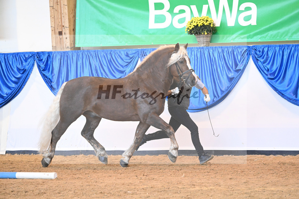 Kat-Nr. 119 Markward_HLG Marbach_53220854 | hf-fotografie - Realizzato con Pictrs.com