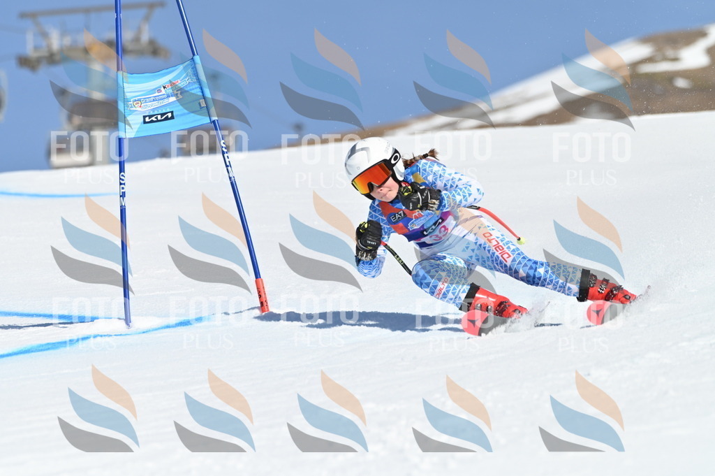 BGV_8200 | holidayphoto