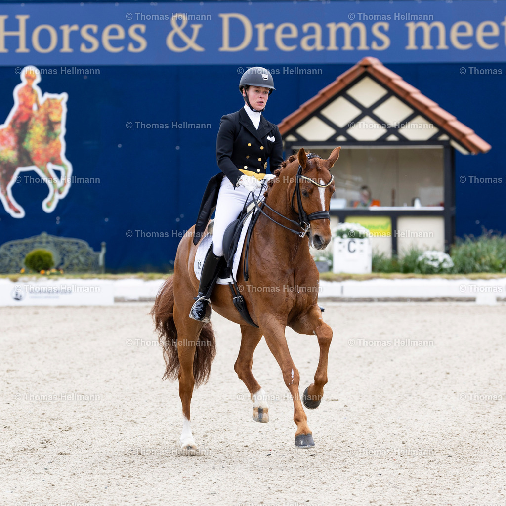 TH_12-WULFERDING Kira (GER)_ Barnsdale W_16705 | Horses &amp; Dreams meets Portugal 2024 am 27.04.24 in Hagen a.T.W., Thomas Hellmann, 12WULFERDING Kira (GER), Barnsdale W